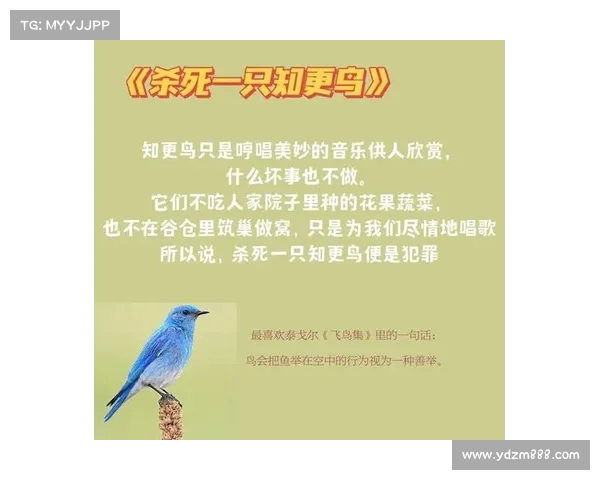 《鸟与笼之歌在音乐与命运的交织中飞翔》 《鸟与笼之歌在音乐与命运的交织中飞翔》